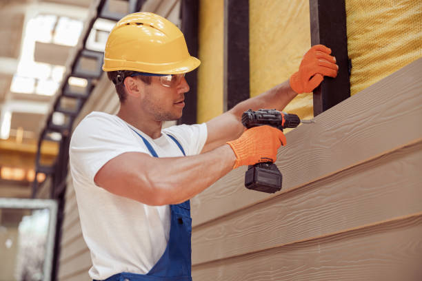 Best Aluminum Siding Installation  in Kula, HI